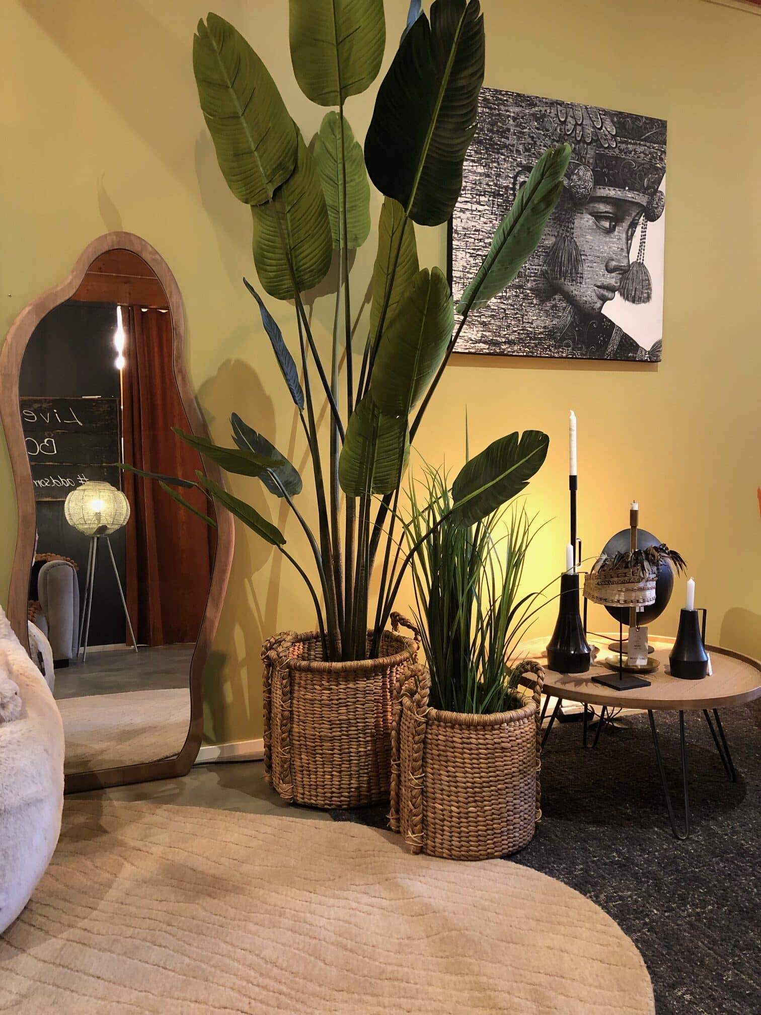 SNUGG Showroom_korit_tekokasvit_Laban